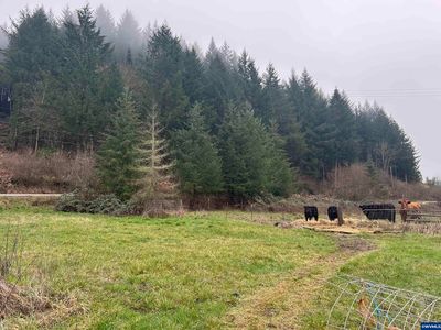 42181 Upper Berlin Dr, Lebanon, OR, 97355