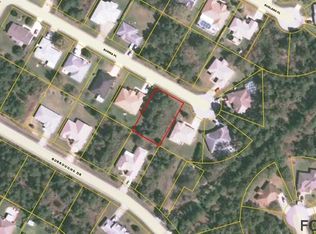 12 Burma Pl, Palm Coast, FL 32137