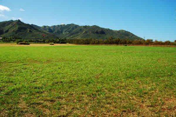 1st image of Aliomanu Estates Dr Lot 11B
