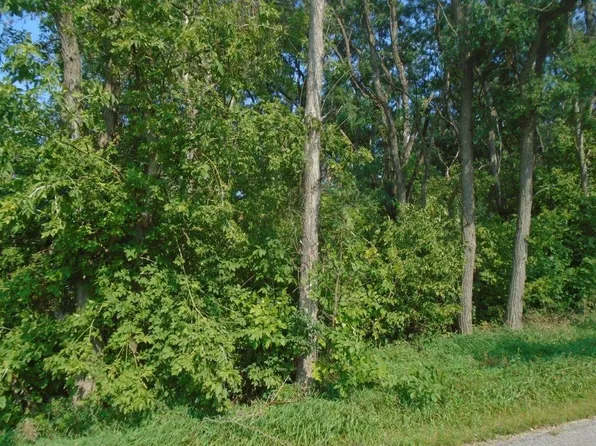 1.98 Ac Roosevelt Street, Mauston, WI 53948