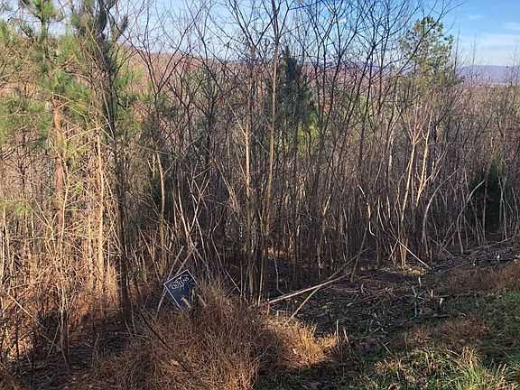 5th image of LOT 63 The Hills At Queens Bay