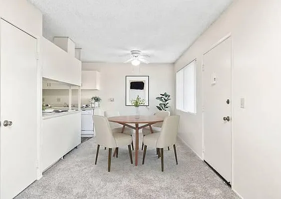 Dorchester Apartments — Photo 4