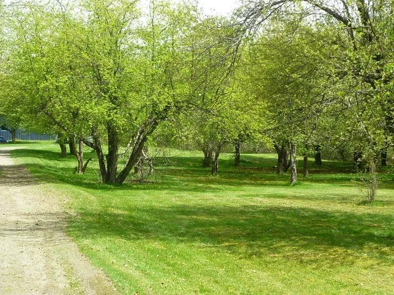 2 acre apple orchard