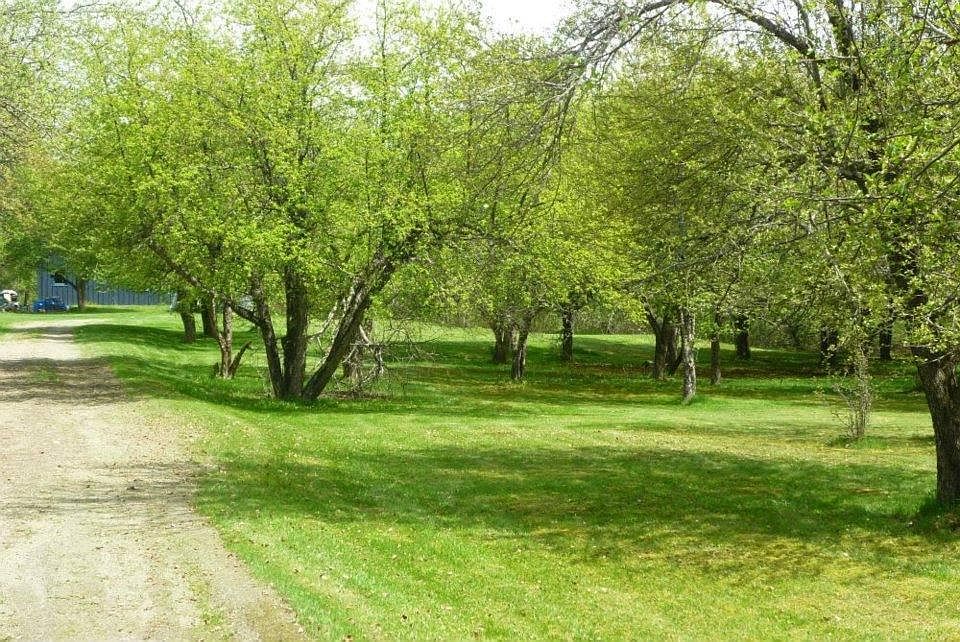 2 acre apple orchard