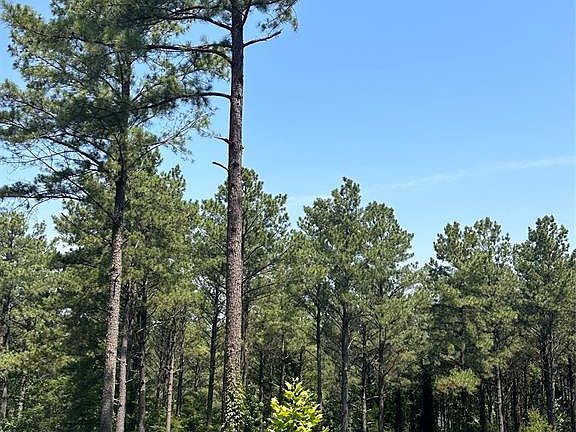 3rd image of 85 Green Apple Trail