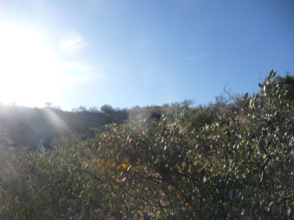 3rd image of 17400 E Cavedale -- #219-38-160A