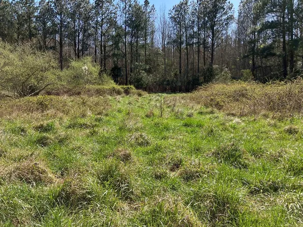 LOT 22 Blue Heron Ln, Accomac, VA 23301