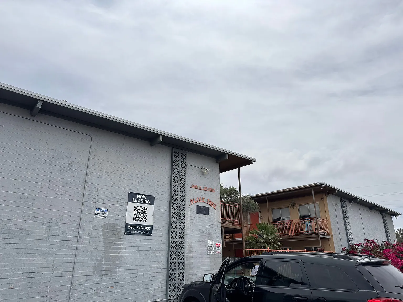 Olive Tree Apartments — Photo 2