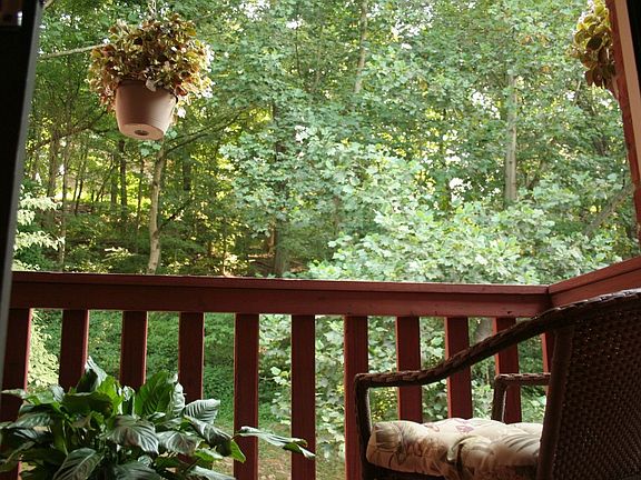 View from living rm deck, facing into woods