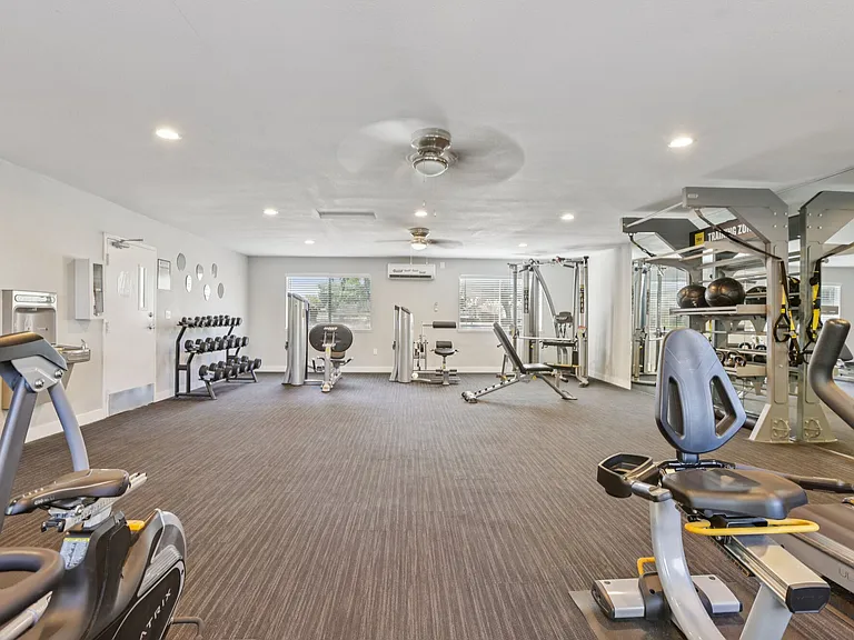 Ironwood — Photo 22