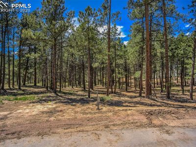 15450 Billings, Colorado Springs, CO, 80908