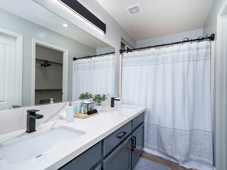 Master bathroom; tub and shower.