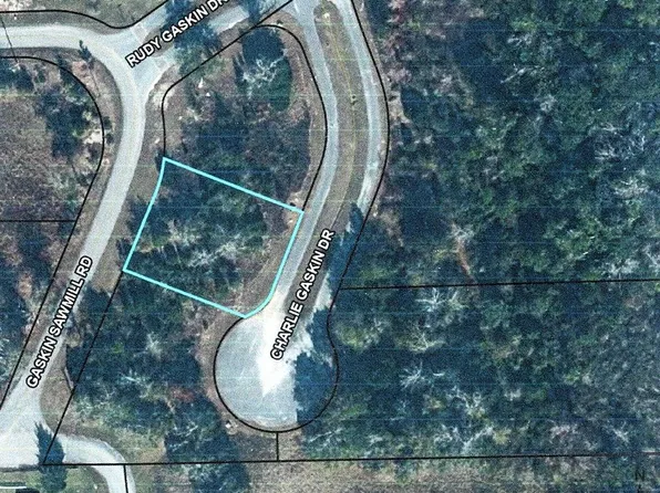 36 Charlie Gaskin Dr, Wewahitchka, FL 32465