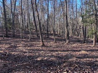 74 Bice Ln, Blue Ridge, GA 30513