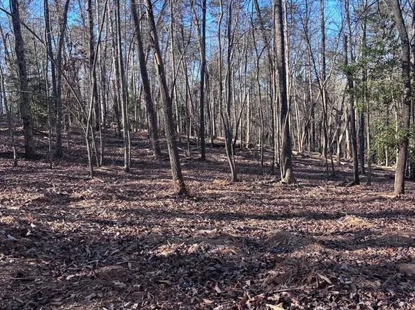 74 Bice Ln, Blue Ridge, GA 30513