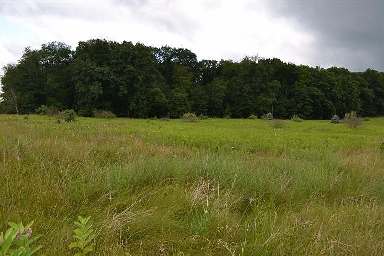 2nd image of 8623 Black Pine Ln