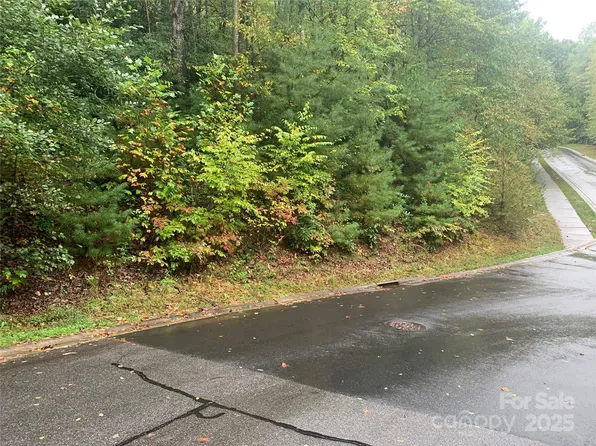 208 Settings Blvd #248, Black Mountain, NC 28711