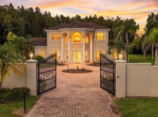 19153 Geraci Rd, Lutz, FL 33558