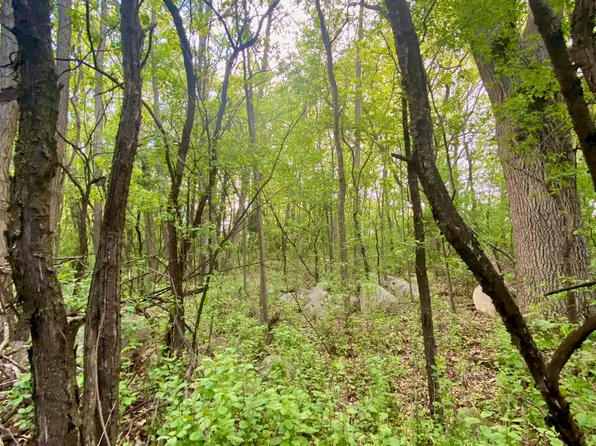 Hillside Dr, Weyauwega, WI 54983