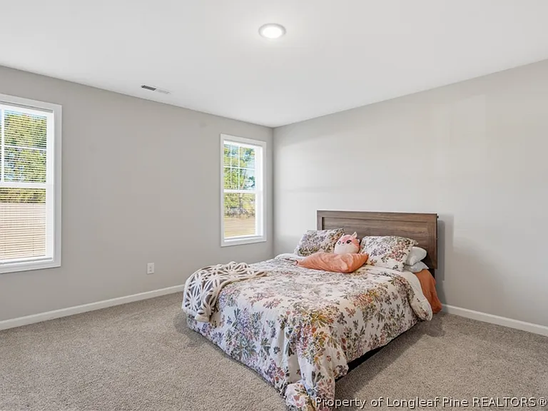 50 Terrier Ct — Photo 41