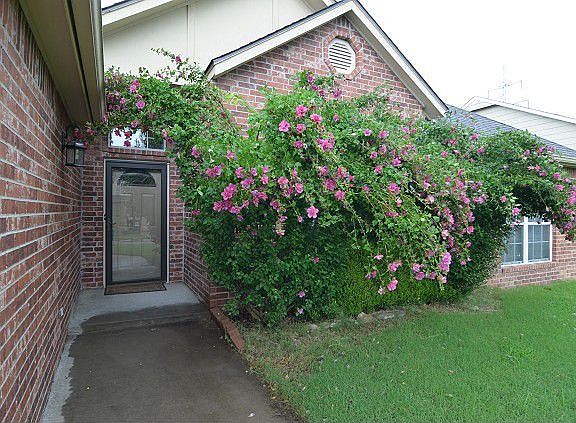 Great, welcoming entrance