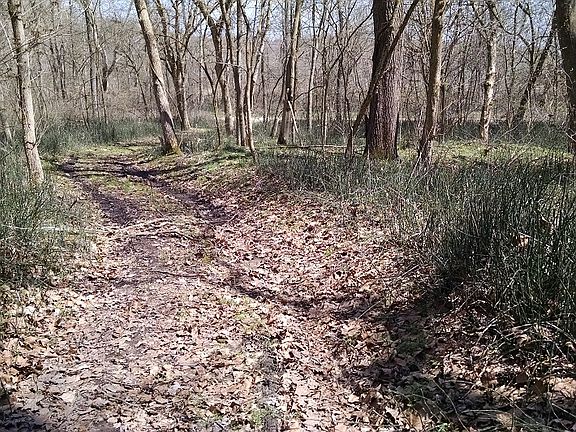 2nd image of 2000 Clearcreek Road