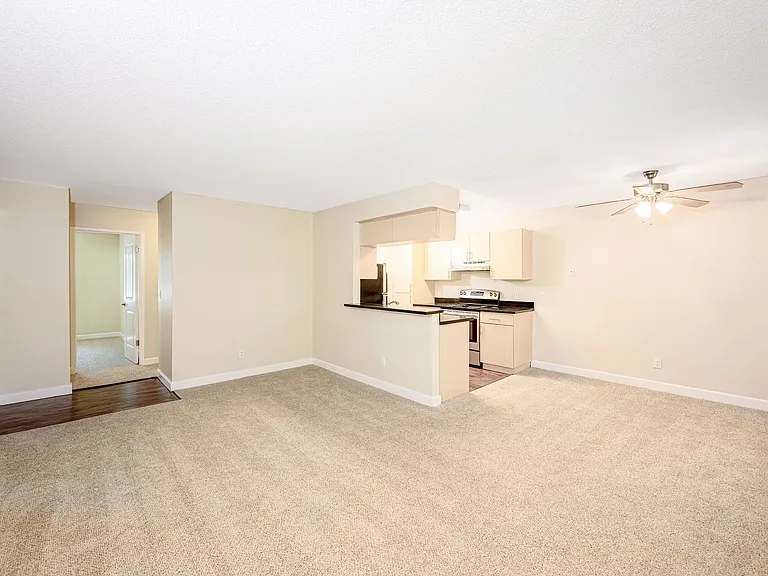 Vista — Photo 10