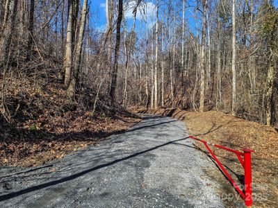 6617 Green River Cove Rd, Saluda, NC, 28773