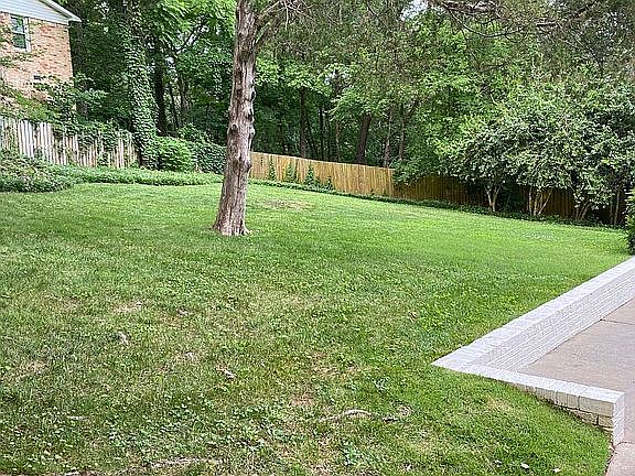 Back yard