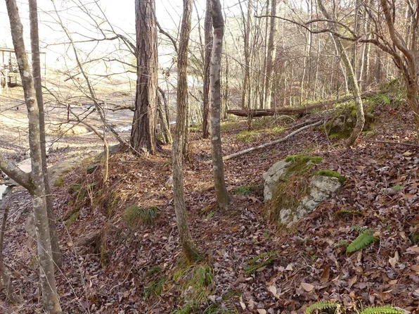 8 Harbour Point Ln, Delta, AL 36258