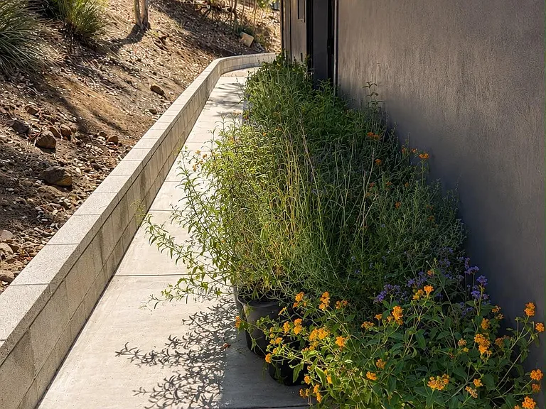 29767 Mulholland Hwy — Photo 13