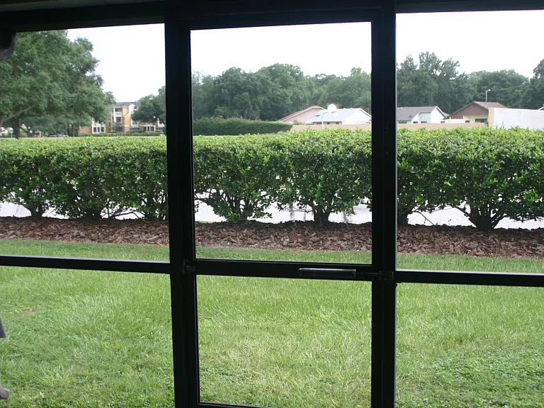 Backyard View