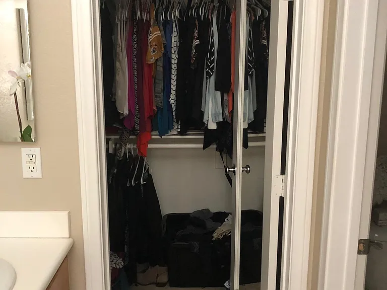 Master Bedroom Walk-in Closet