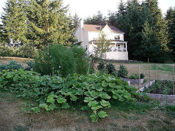 Raised vegetable beds