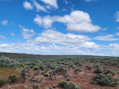 1104 E Coyote Trail, Ephrata, WA, 98823