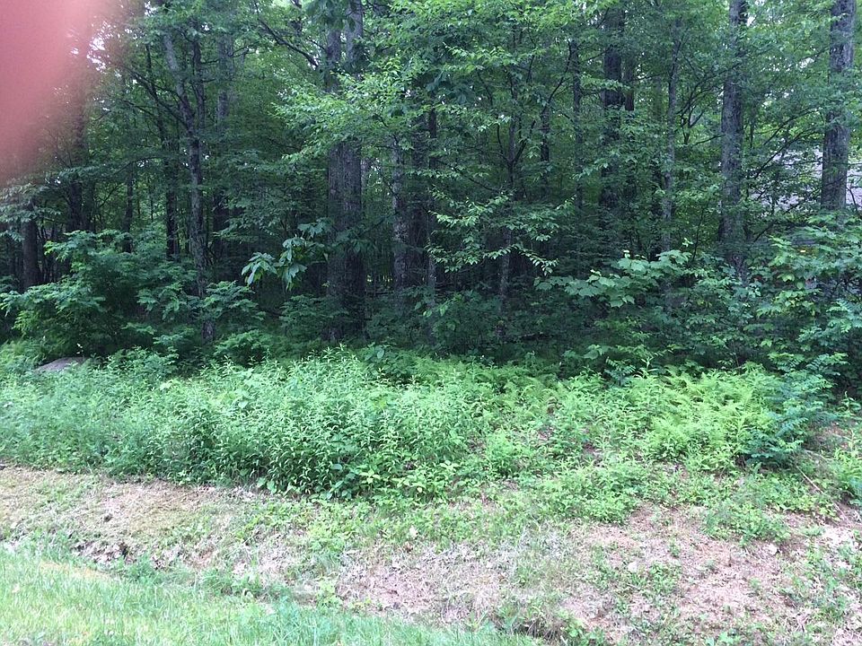 2nd image of 44 Timber Camp Dr