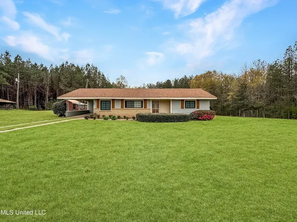 423 Simpson Hwy #478, Newhebron, MS 39140