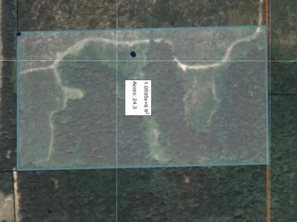 2201 County Road 2201 Lot 12, Goshen, AL 36035