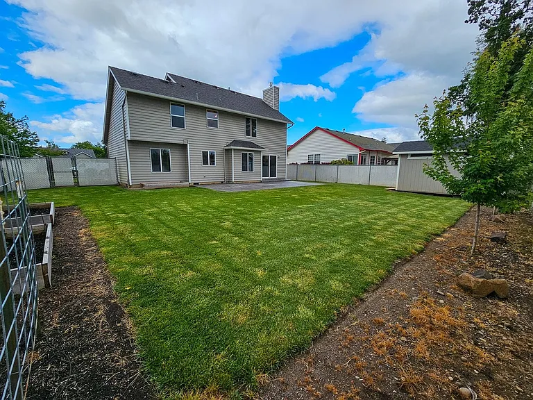 Back yard