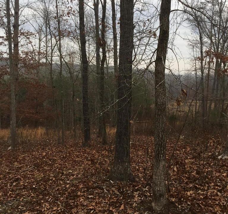 2nd image of 1615 Colbert Hollow Rd