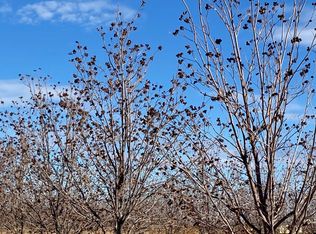 Off Of Hwy #338, Animas, NM 88020