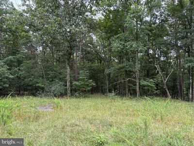 9.31 Ac Pne, Bloomery, WV, 26817