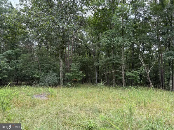 9.31 Ac Pne, Bloomery, WV 26817