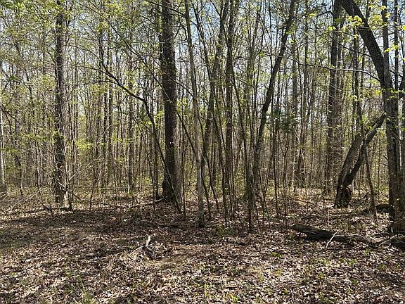 2nd image of LOT 9 Jones Ridge Rd
