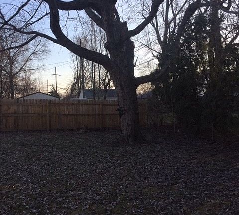 Fenced Back Yard