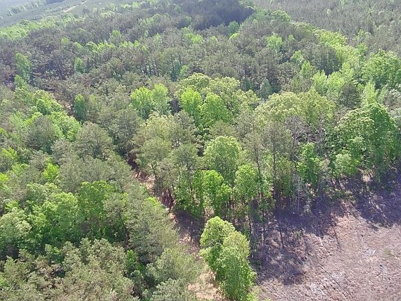 2nd image of New Light Rd