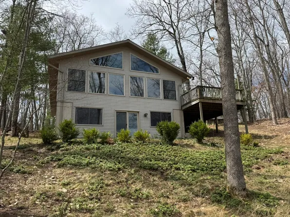 6876 W Twin Lake Dr, Irons, MI 49644