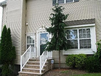 2nd image of 807 Tallwood Ln