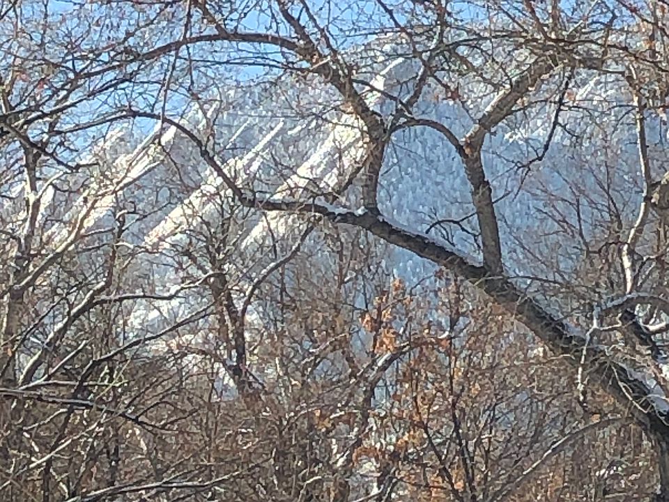 Winter view from the patio.