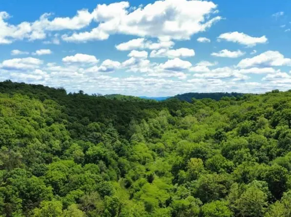 530 County Road 605, Green Forest, AR 72638